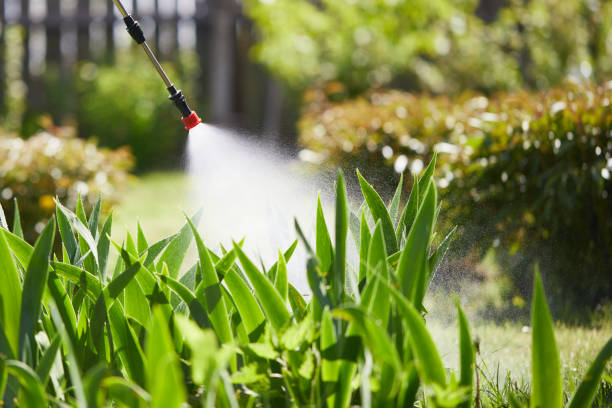 24/7 Emergency Mosquito Control experts in Orchard Homes, MT